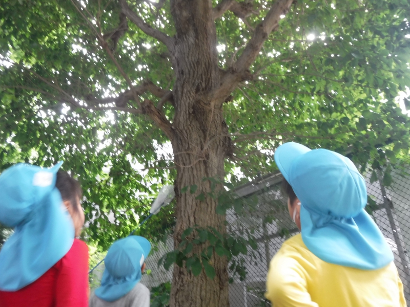 11_compressed.jpg 11_compressed.jpg