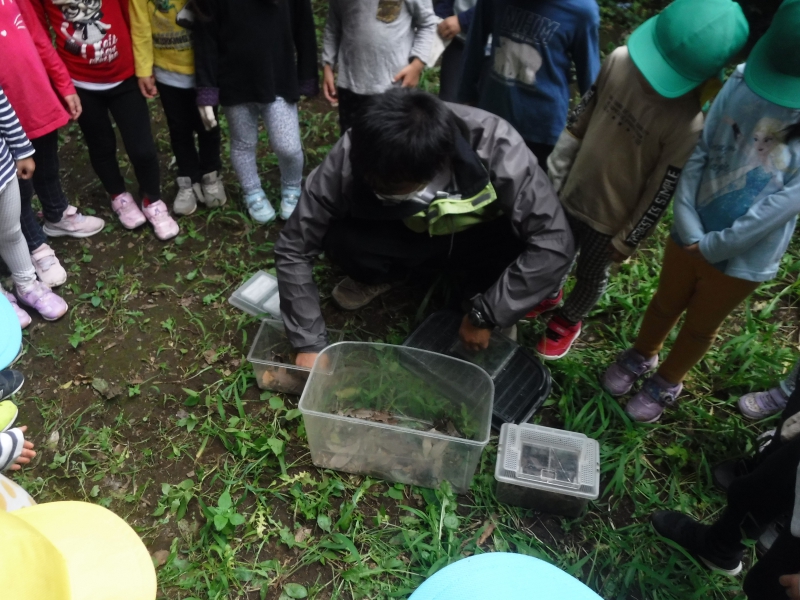 13_compressed.jpg 13_compressed.jpg