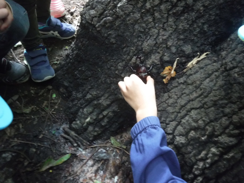 5_compressed.jpg 5_compressed.jpg