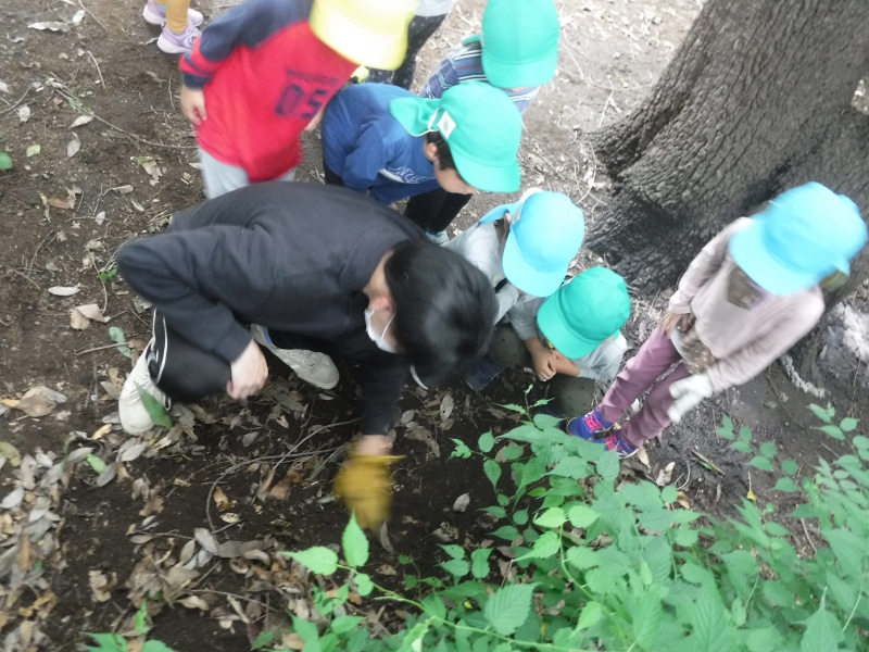 6_compressed.jpg 6_compressed.jpg