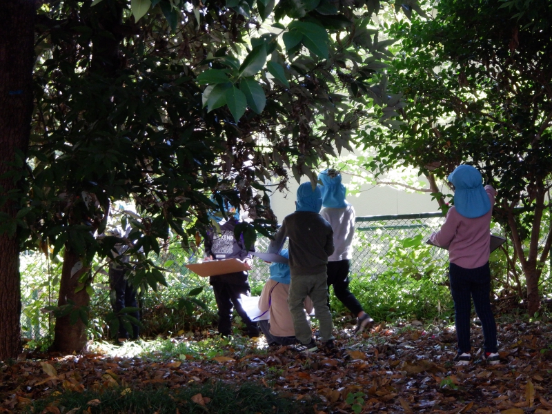 4_compressed.jpg 4_compressed.jpg