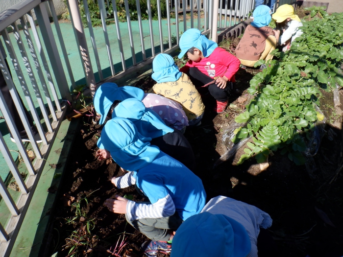 horu1_compressed.jpg horu1_compressed.jpg