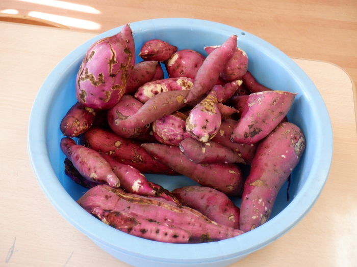 shuukaku5_compressed.jpg shuukaku5_compressed.jpg